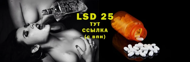 таблы Аркадак